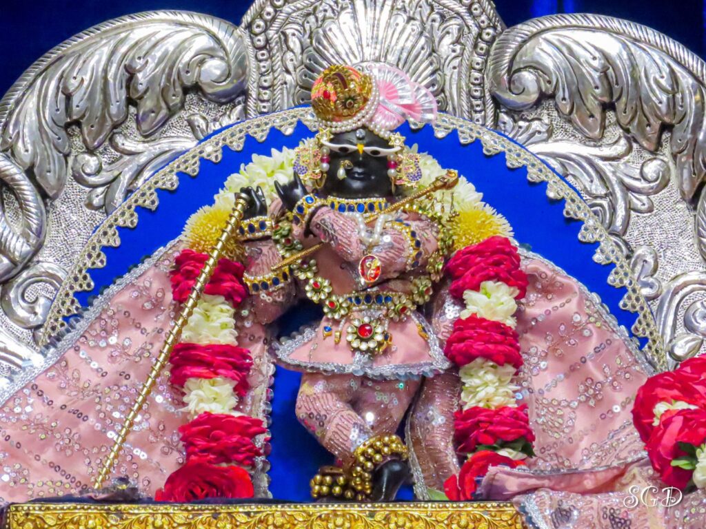 वृन्दावन में घूमने की जगह( ब्रज यात्रा विवरण-5) 2 वृन्दावन में घूमने की जगह, राधा रमण मंदिर,