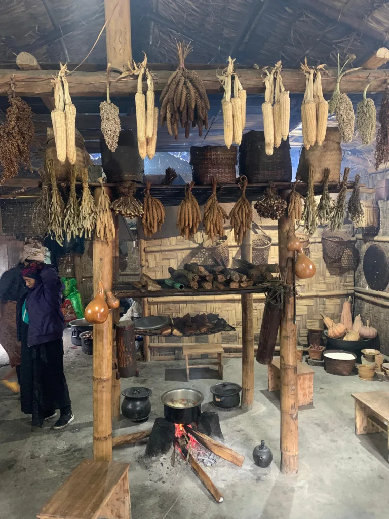 हॉर्नबिल फेस्टिवल, हॉर्नबिल महोत्सव