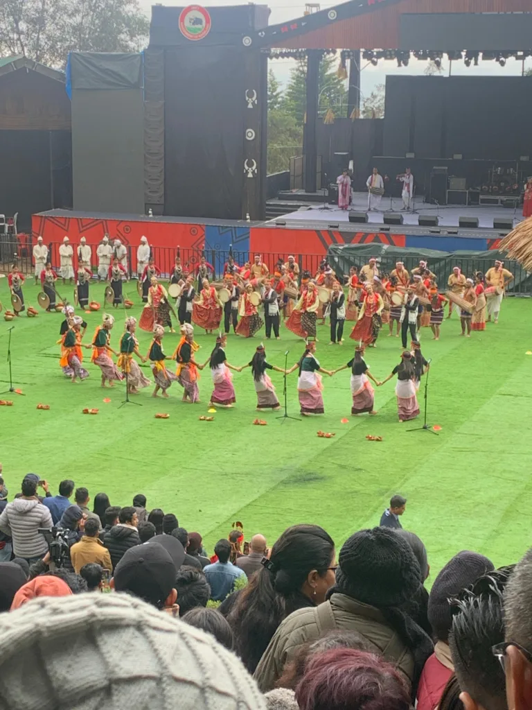 हॉर्नबिल फेस्टिवल, हॉर्नबिल महोत्सव