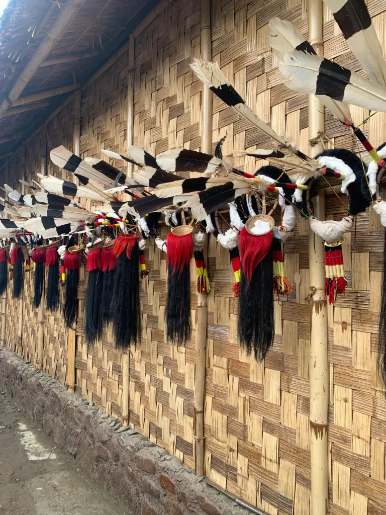 हॉर्नबिल फेस्टिवल, हॉर्नबिल महोत्सव