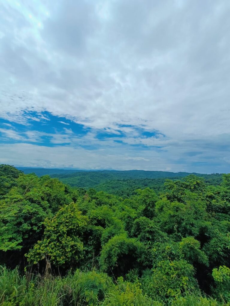 हाफलोंग में घूमने की जगह (असम यात्रा-6) 4 हाफलोंग में घूमने की जगह, असम यात्रा, हाफलोंग के पर्यटन स्थल, असम में घूमने की जगह, असम का एकमात्र हिल स्टेशन