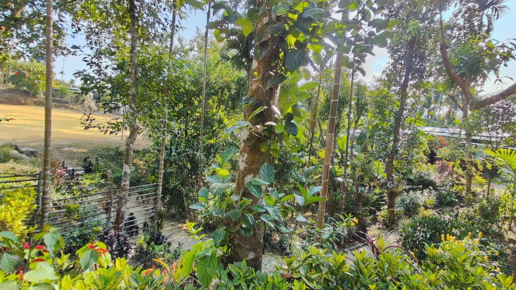 अगस्त में घूमने की 10 बेस्ट जगह : Best Places To Visit In August 1 अगस्त में घूमने की 10 बेस्ट जगह, Best Places To Visit In August, अगस्त में घूमने की जगह, मानसून में घूमने की जगह, बारिश के समय बेस्ट घूमने की जगह, अगस्त के पर्यटन स्थल,